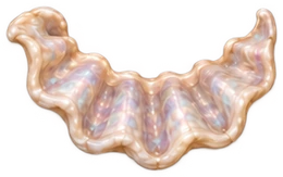 bone-17