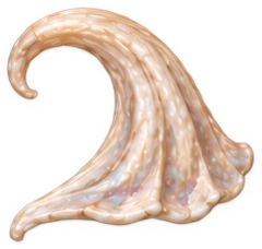 bone-25