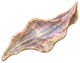 bone-04