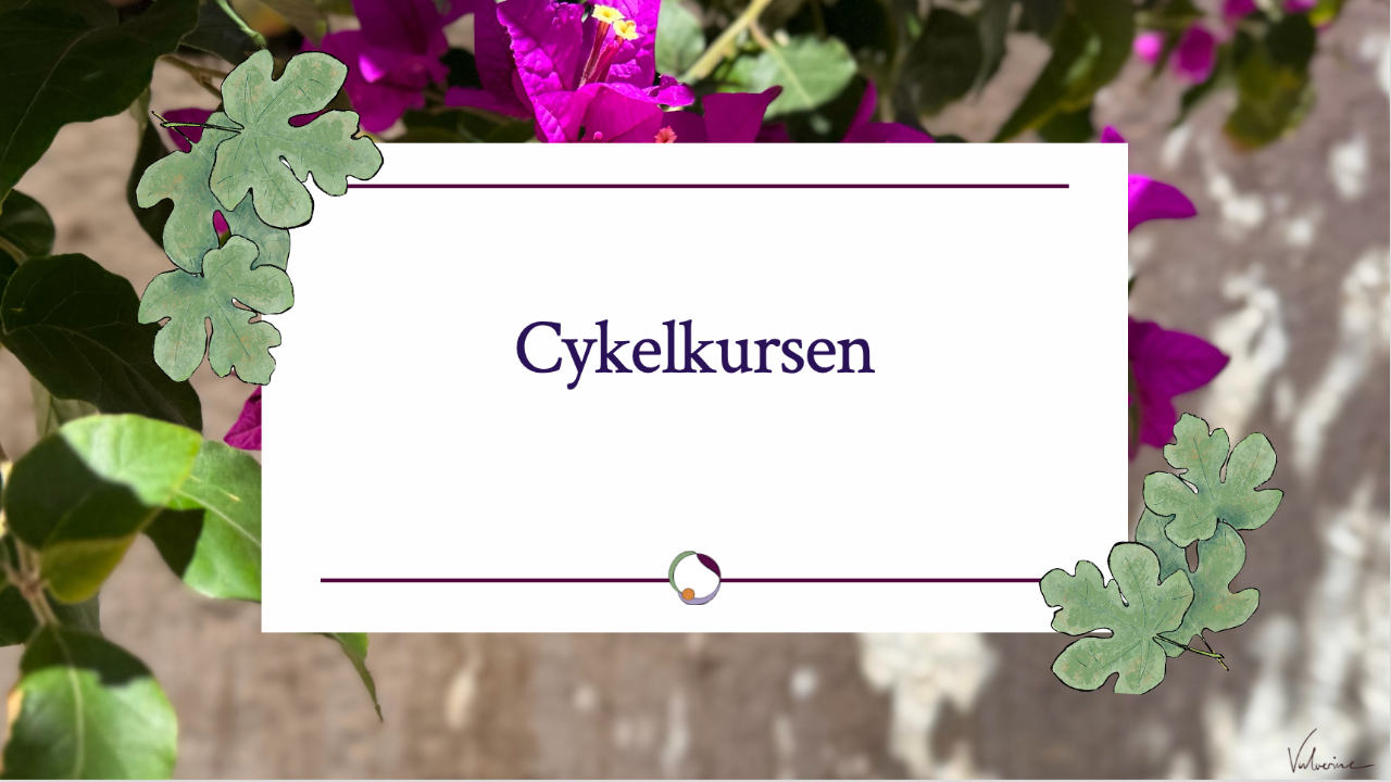 Cykelkursen