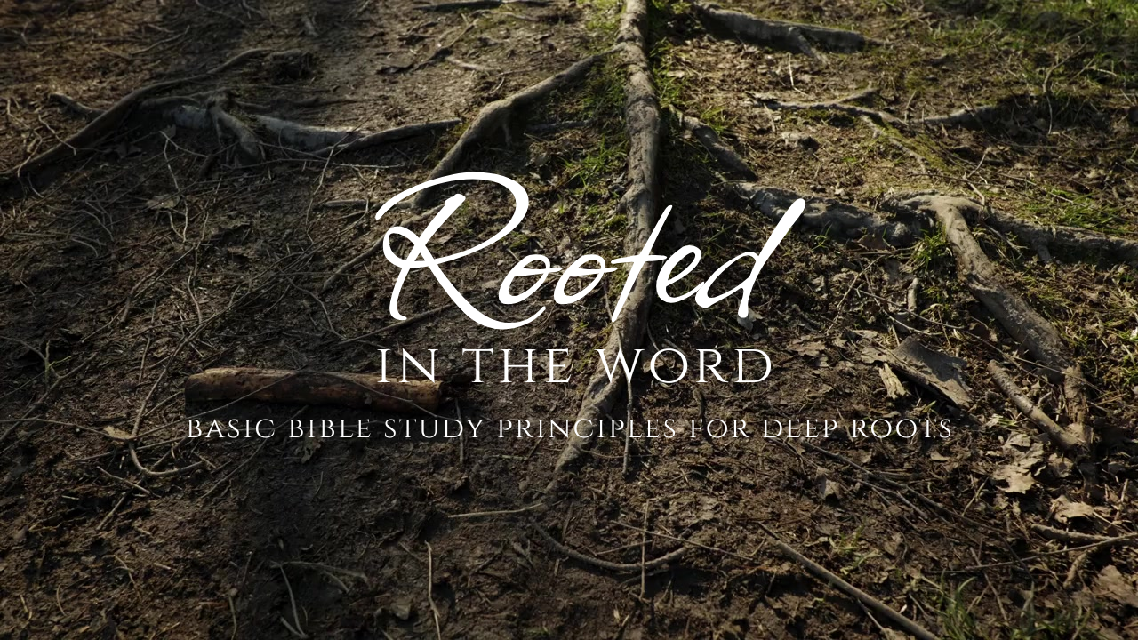Rooted in the Word: Basic Bible Study Principles for Deep Roots
