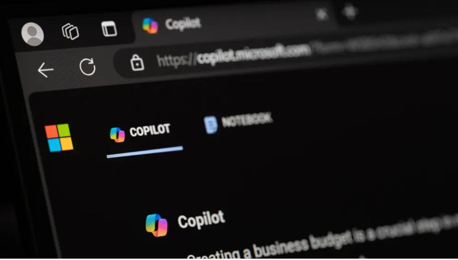Microsoft 365 Copilot interface