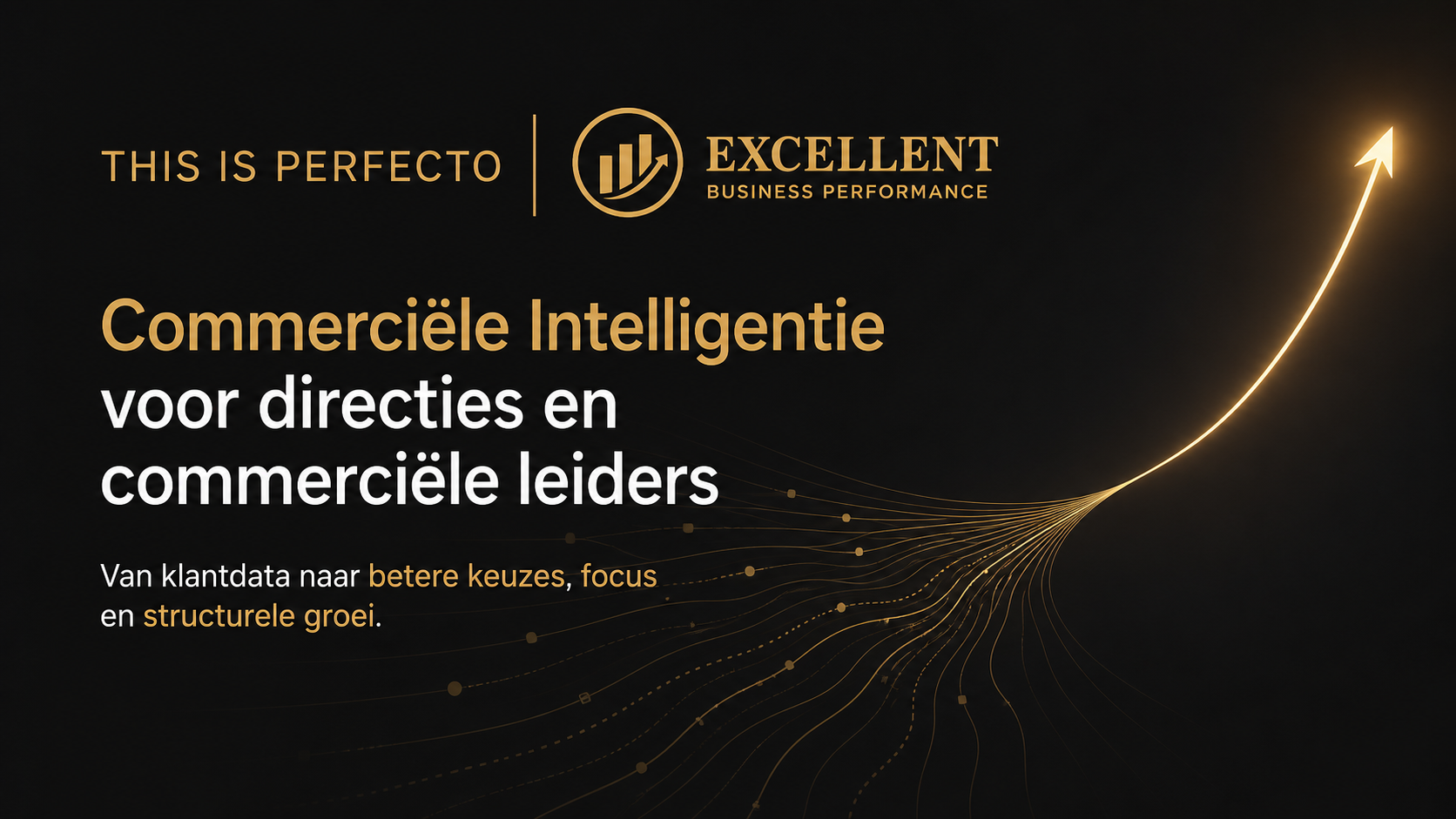 This Is Perfecto en Excellent Business Performance — Commerciële Intelligentie voor directies en commerciële leiders