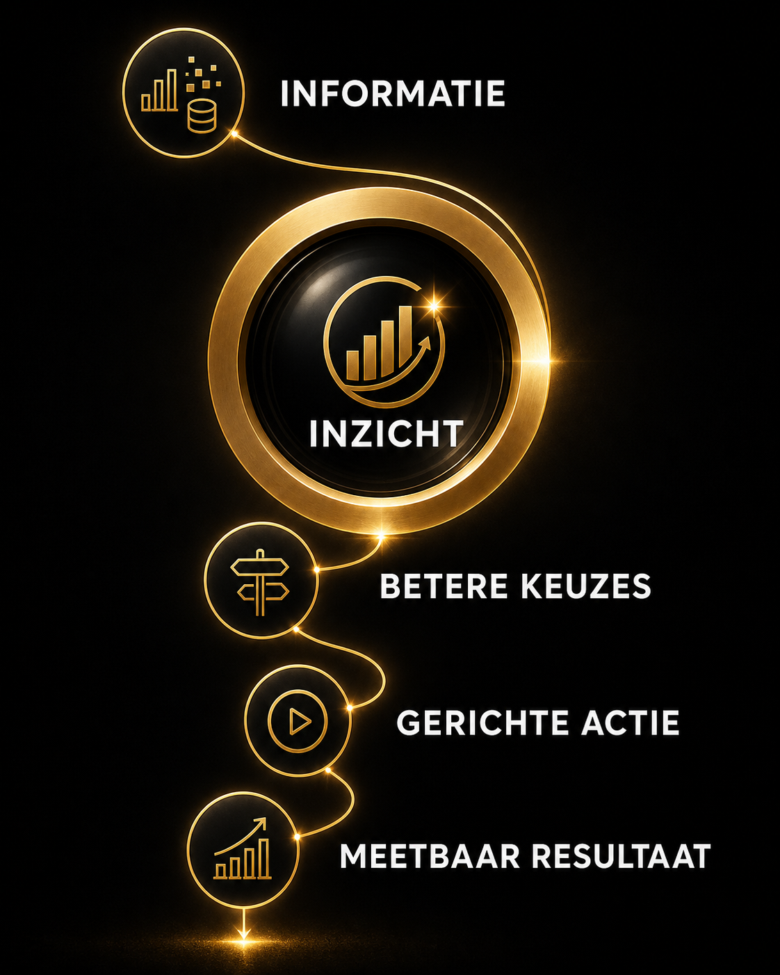 Commerciële Intelligentie: van informatie via inzicht en uitvoering naar commerciële impact