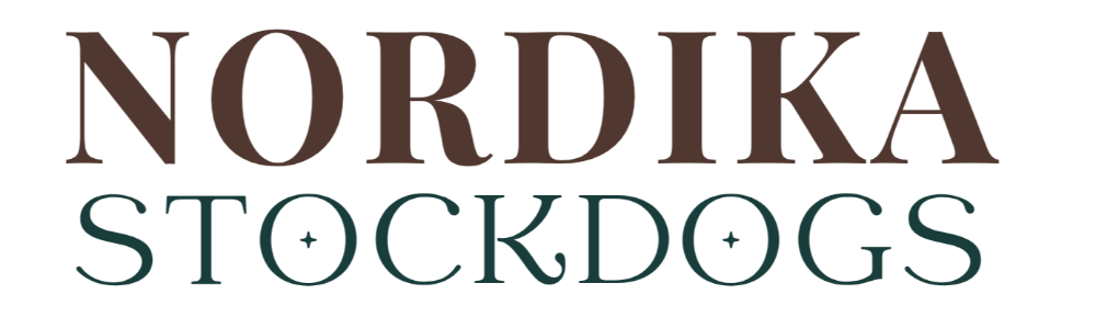 Header Logo