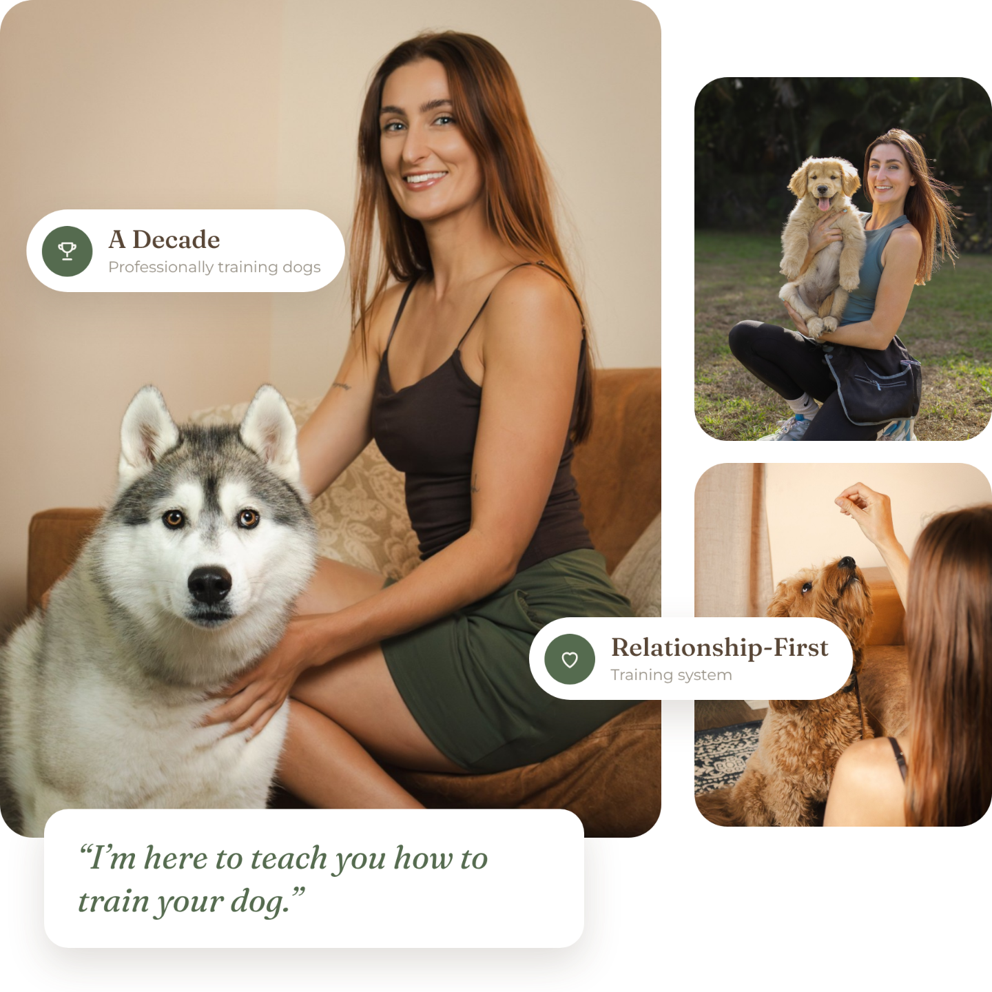 Savanah, professional dog trainer, sitting with a Siberian husky, with photos of her training a golden retriever and a goldendoodle