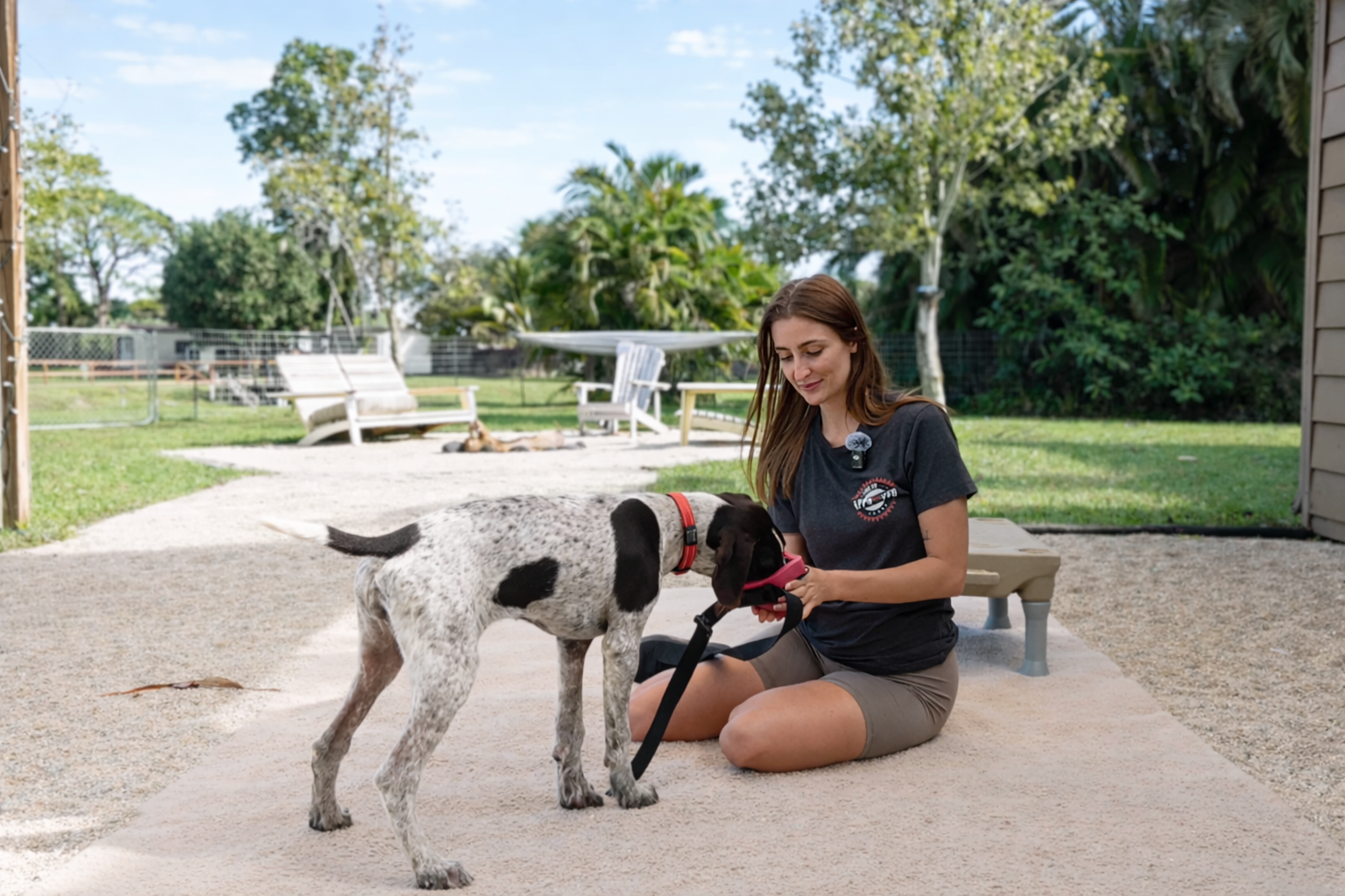 A happy dog with its owner