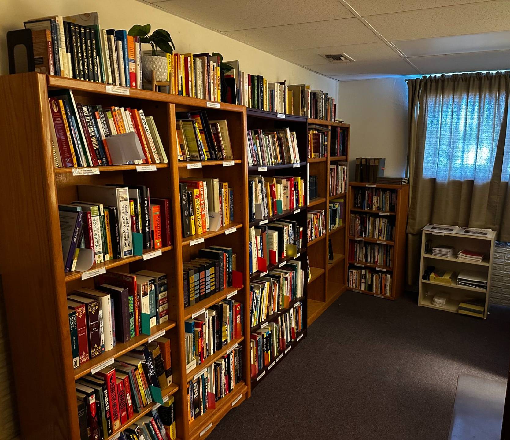 Library Book Cases