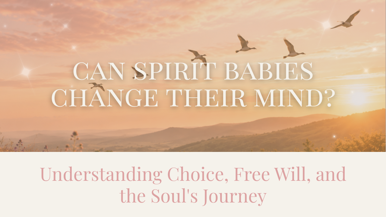 A small flock of birds soaring into an open sky, symbolizing free will, soul choice, divine timing, and the journey of Spirit Babies.