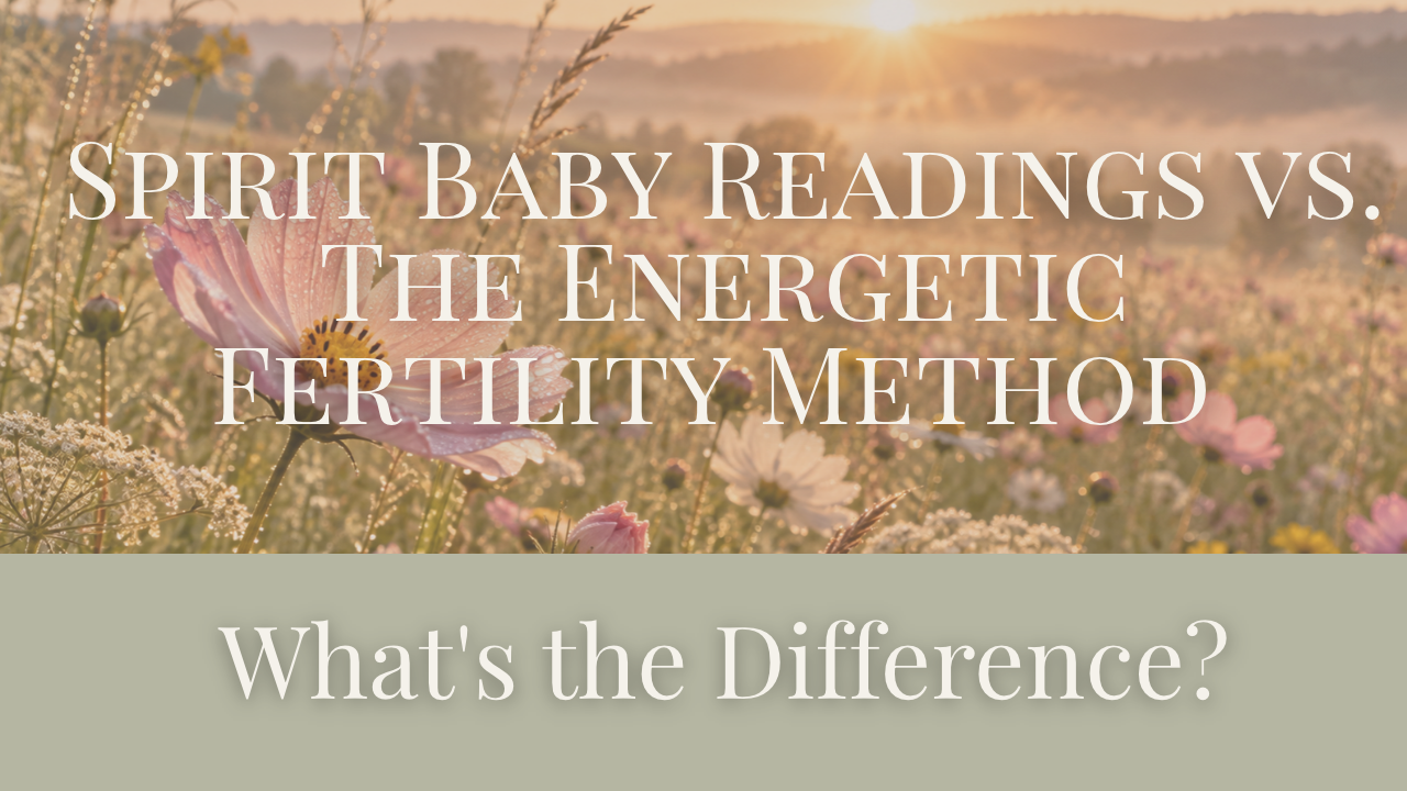A single wildflower in soft focus at the front of a sunlit meadow, symbolizing the clarity of a Spirit Baby Reading and the gradual growth of ongoing energetic fertility work.