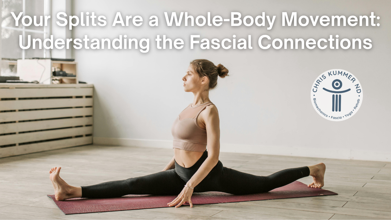Your Splits Are a Whole-Body Movement
