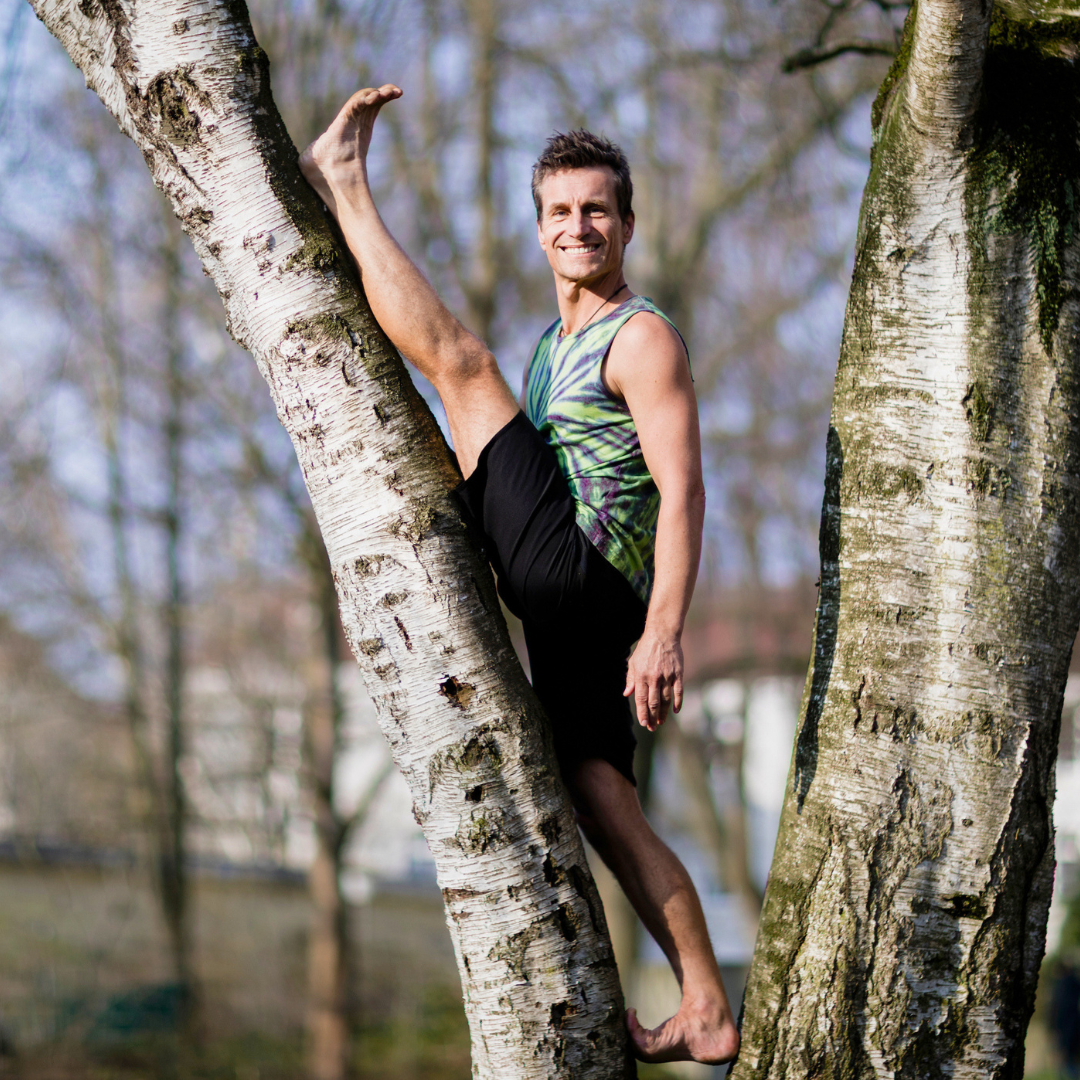 chris kummer splits in tree