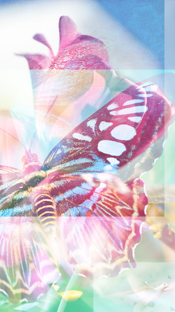 Video Poster Image