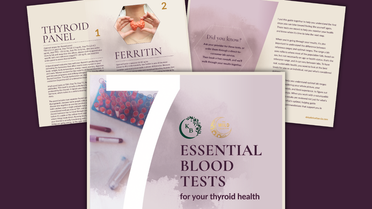 7 Essential Blood Tests for Your Thyroid Health guide by Dr. Katie B.