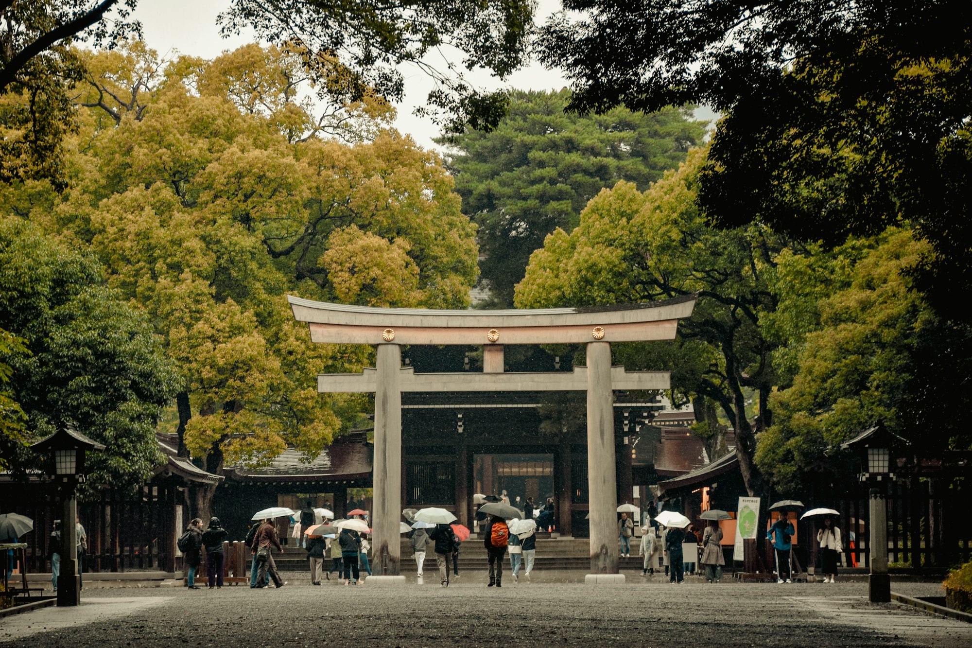Visitors with umbrellas gathered before a torii gate