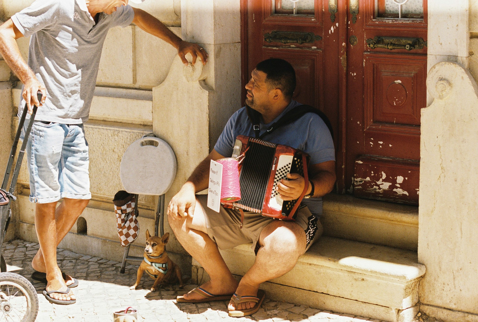 A street musician plays an accordion beside a small dog