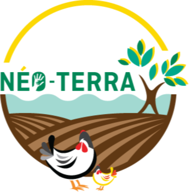 Header Logo