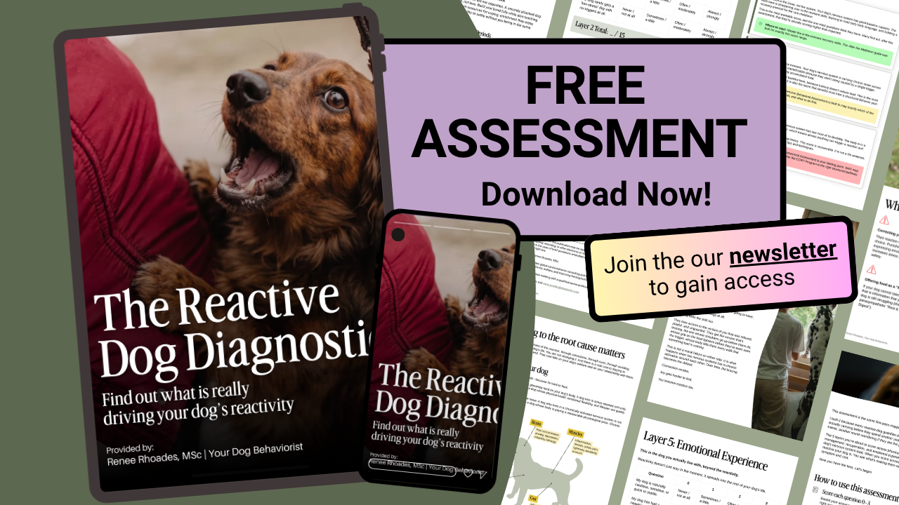 The Reactive Dog Diagnostic - Free Self-Assessment by Renee Rhoades MSc