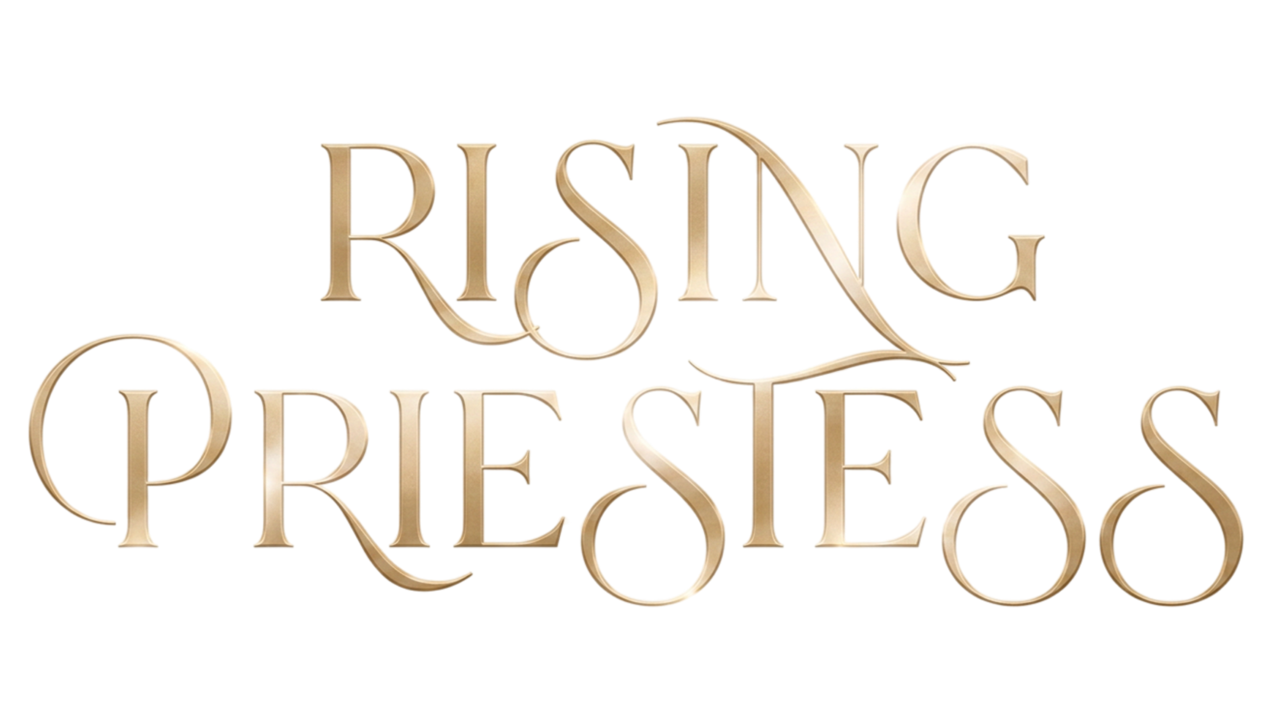 Header Logo