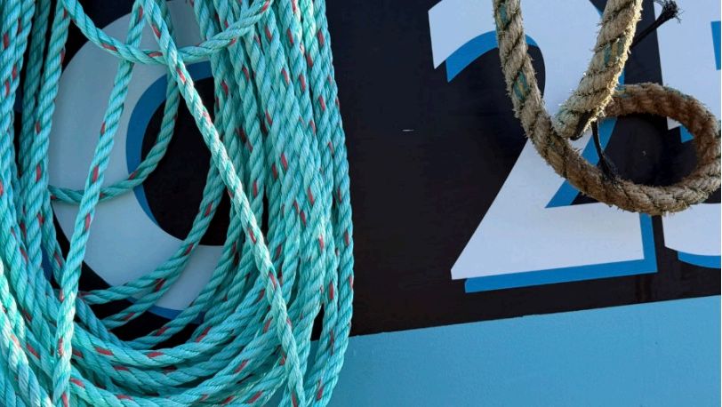Close-up of ropes and coastal textures used by David Mankin as visual inspiration for abstract landscape painting.