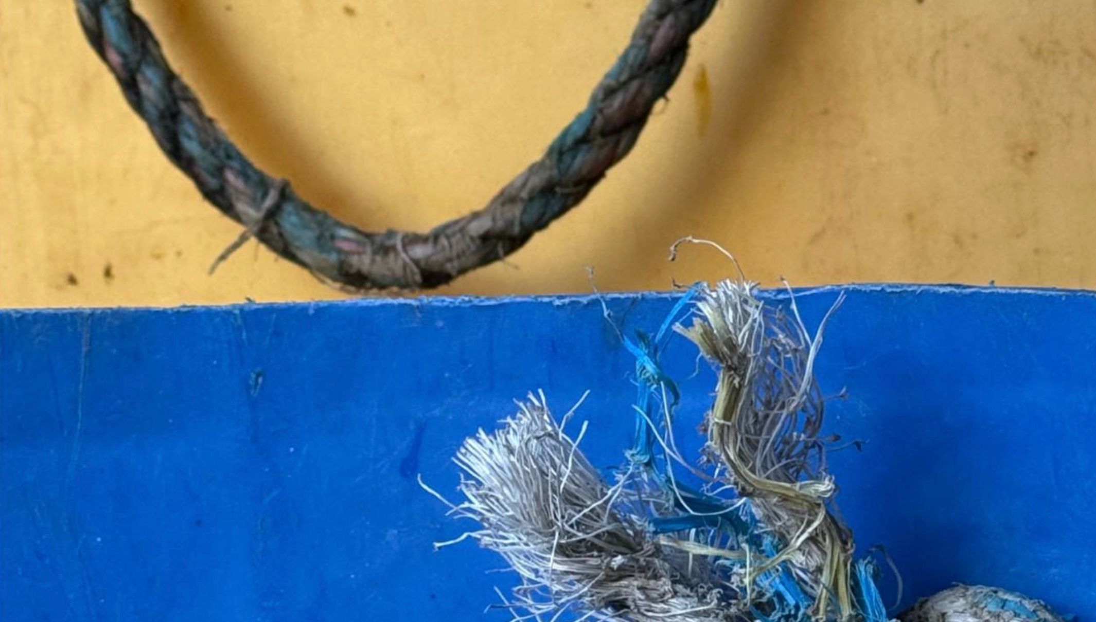 Close-up of weathered fishing rope and vibrant coastal colours in Cornwall, photographed by David Mankin as inspiration for contemporary abstract landscape paintings.