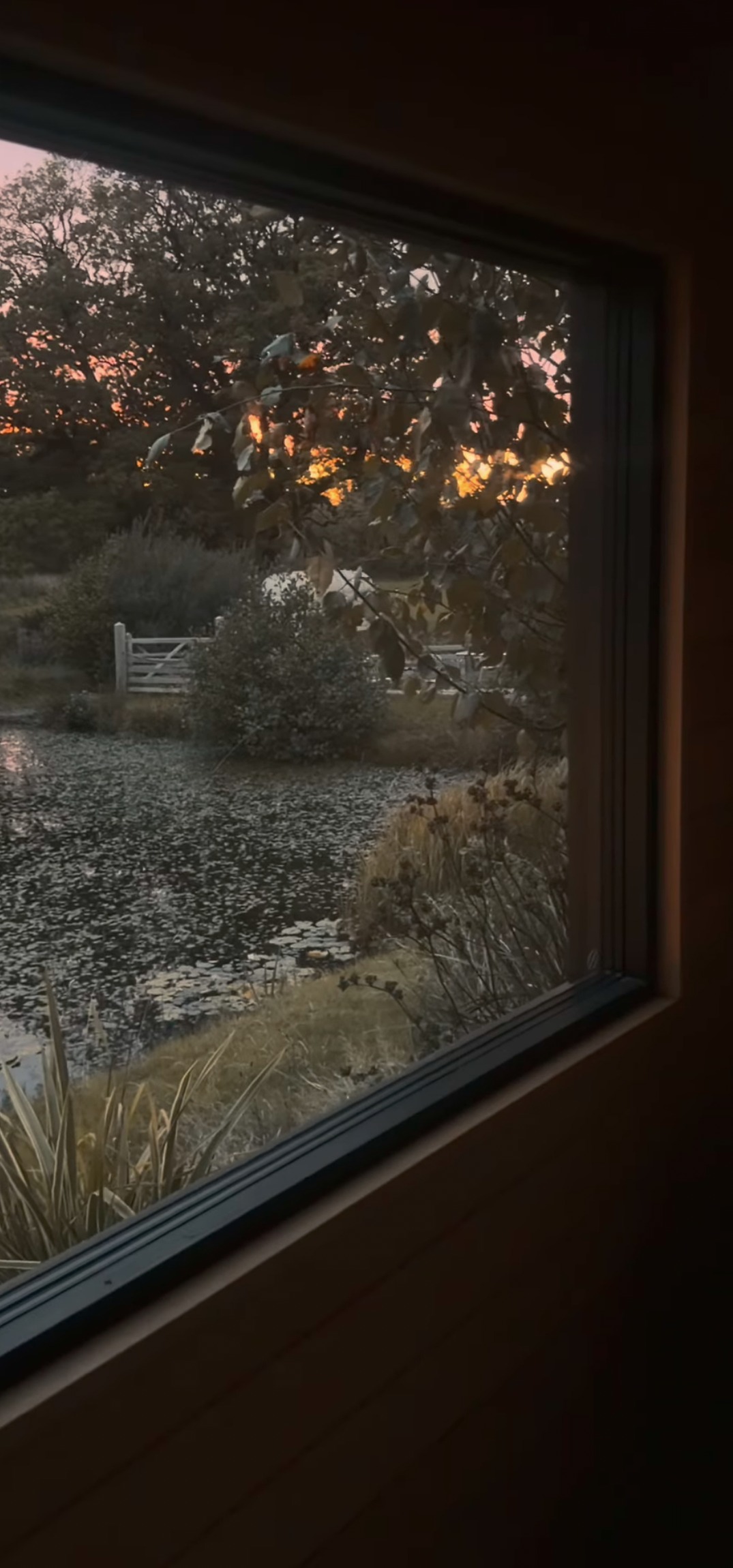 View from the sauna window