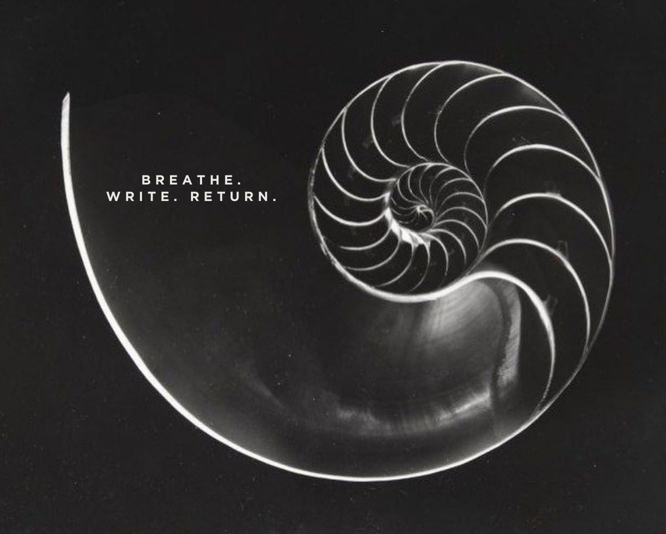 Video Poster Image