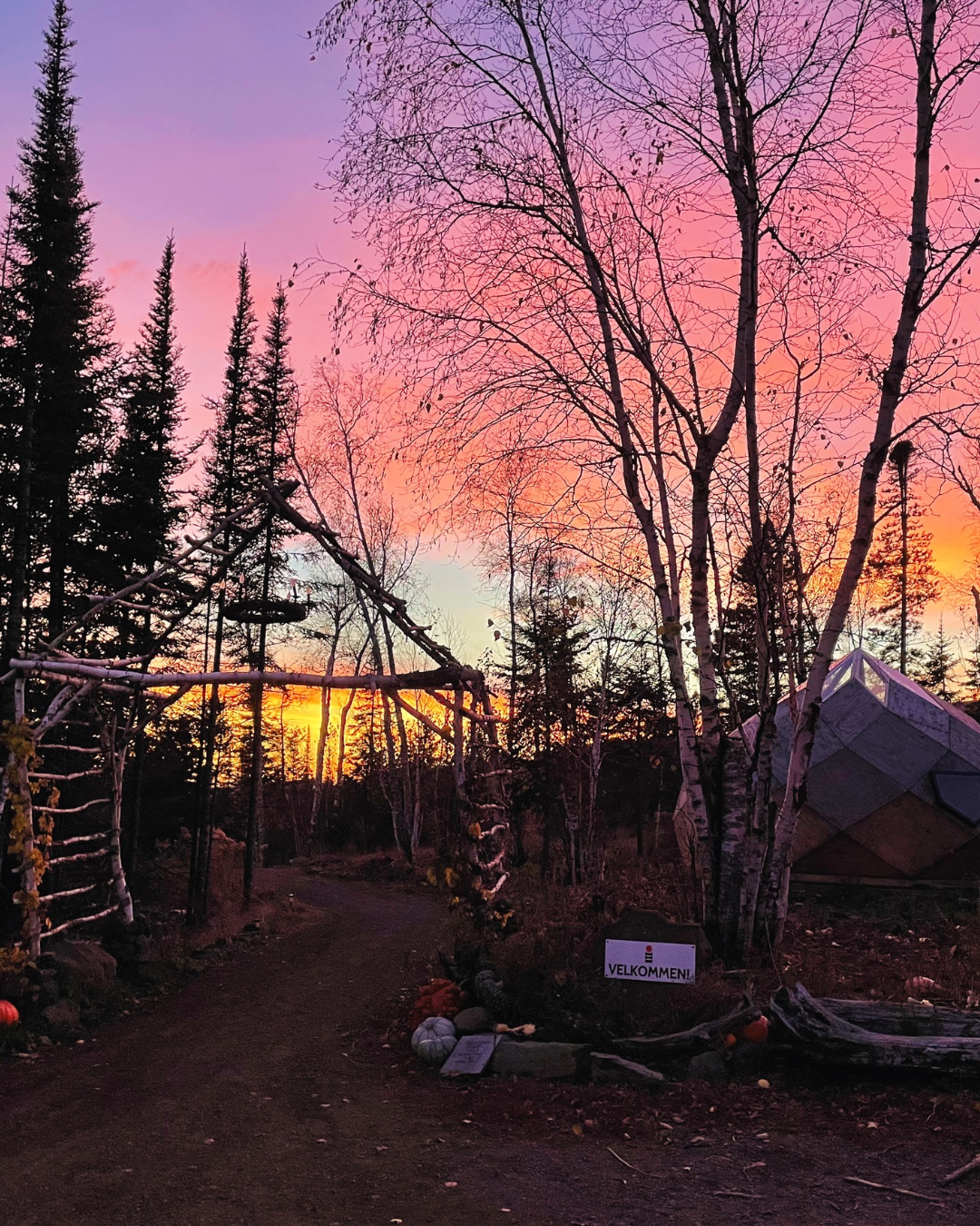 Sunset over the birch arch and geodesic dome at Klarhet
