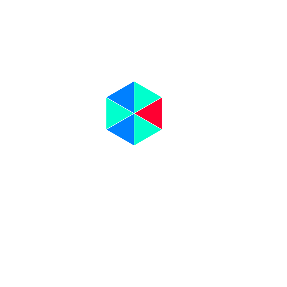 Footer Logo