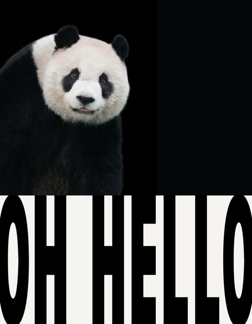 Video Poster Image