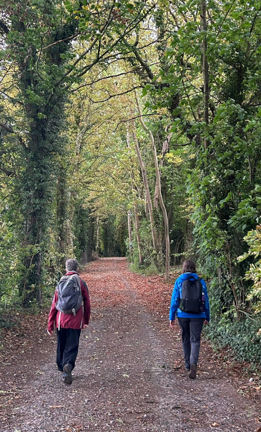 2 people seen from behind, walking along a forest path - green trees meet overhead