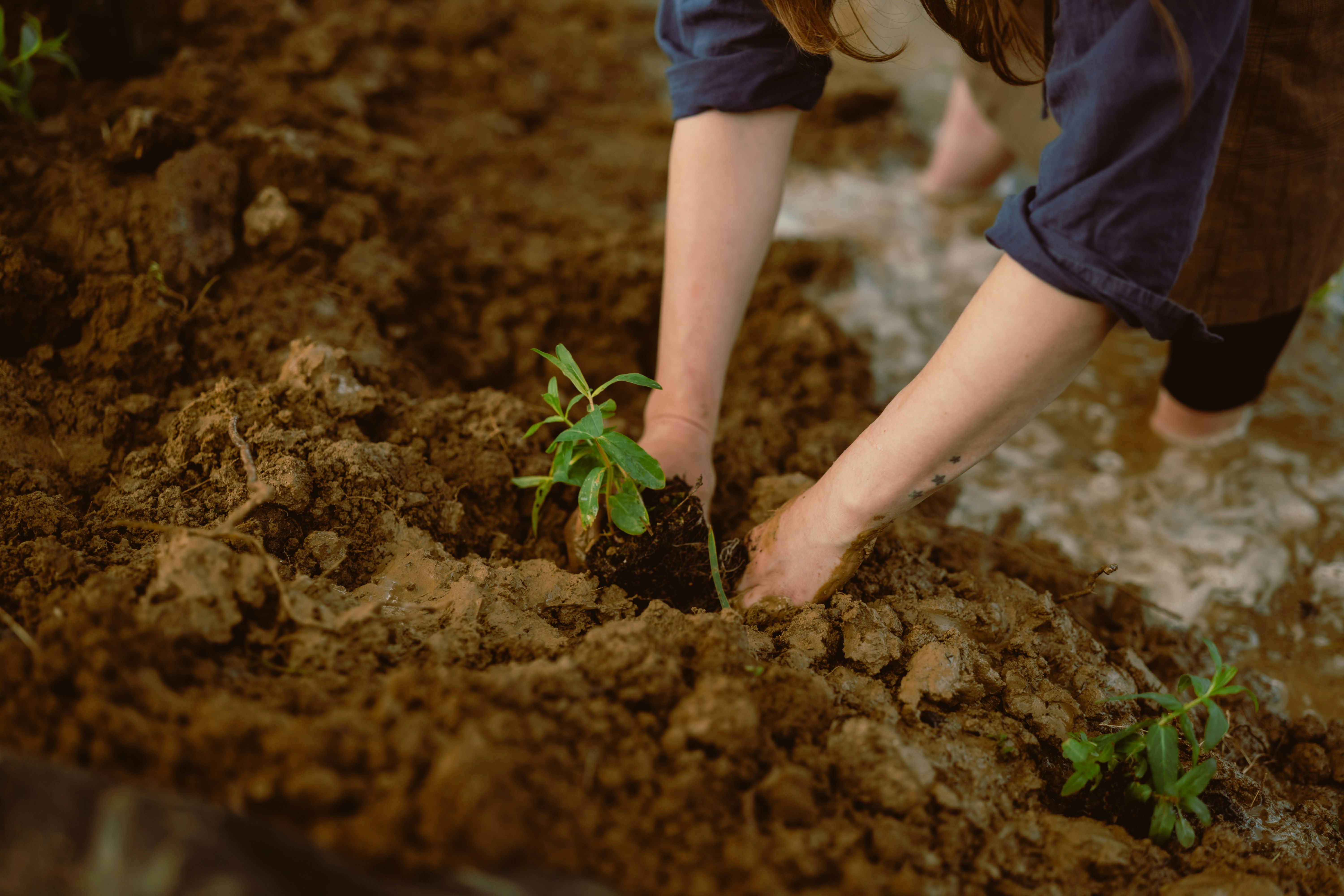 About Groundwork Trauma Education