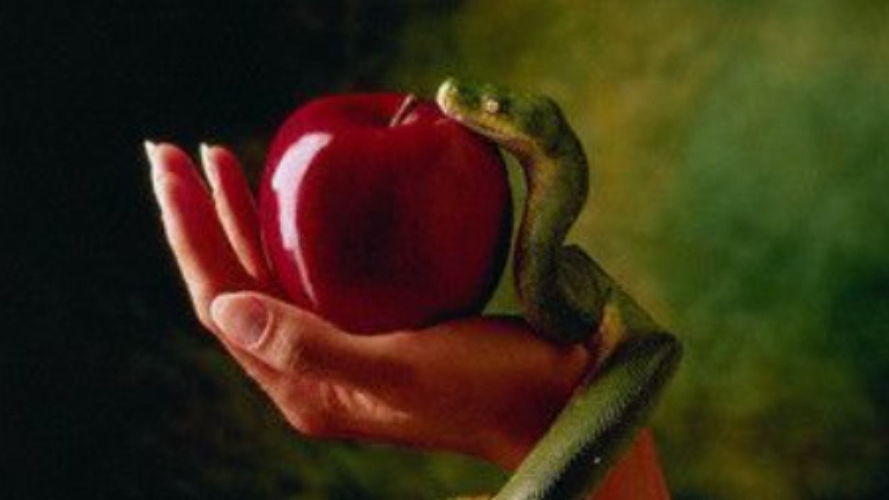 EMERGE
