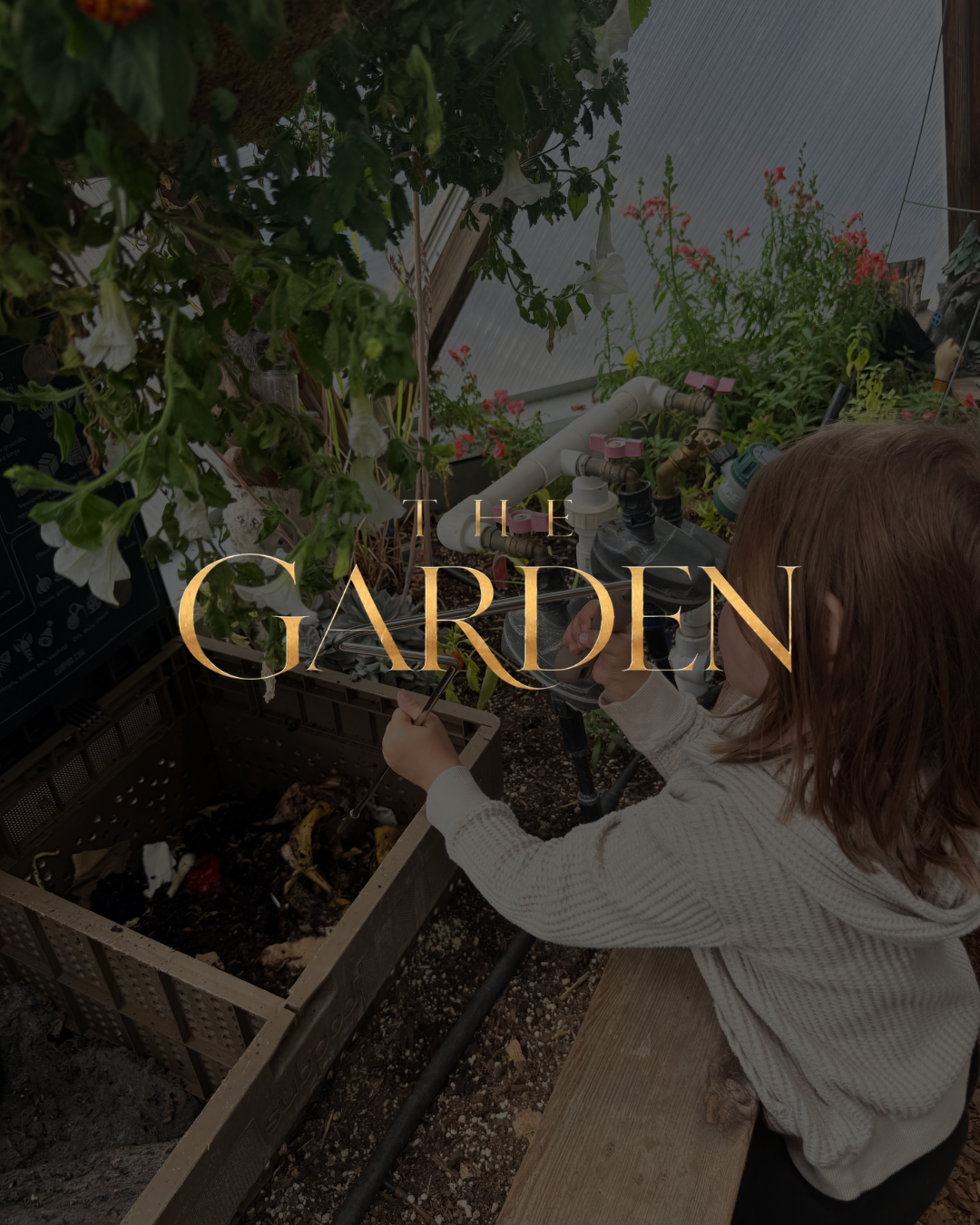 The Garden