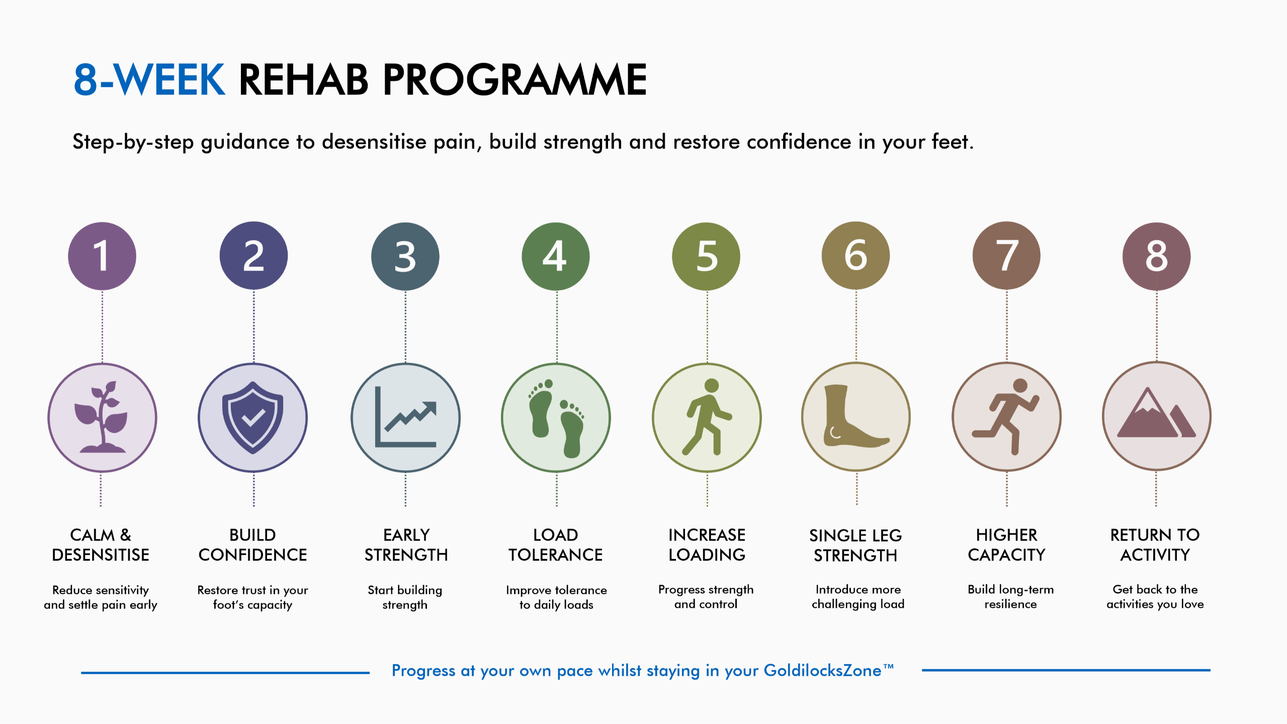 8-Week Guided Rehab Roadmap