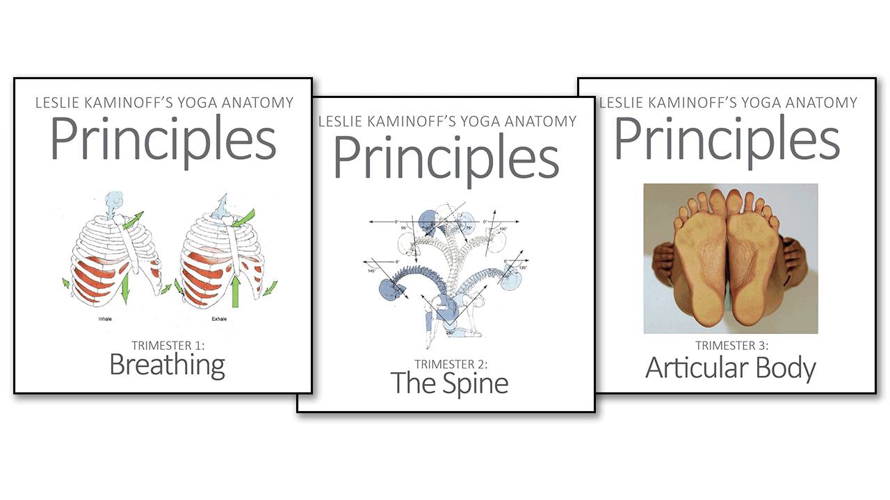 Principles course covers