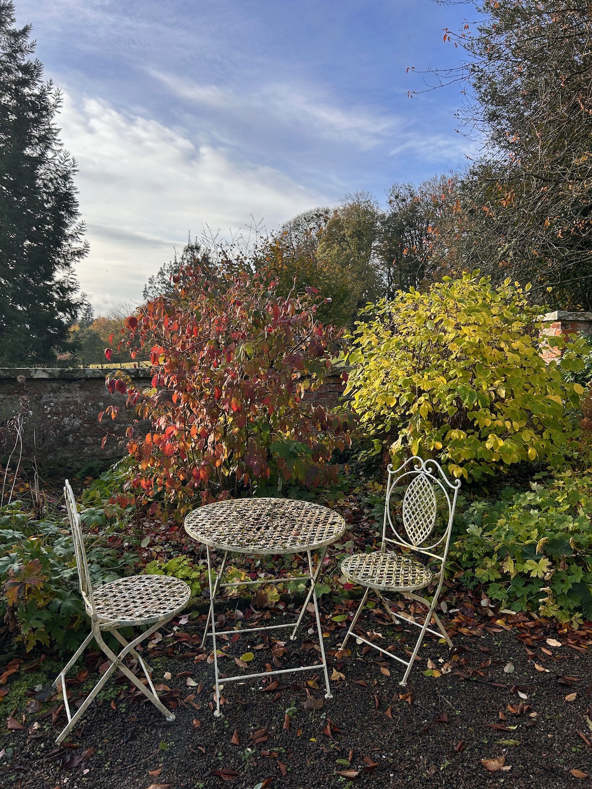 Garden table with two chairs, set for a one-to-one conversation