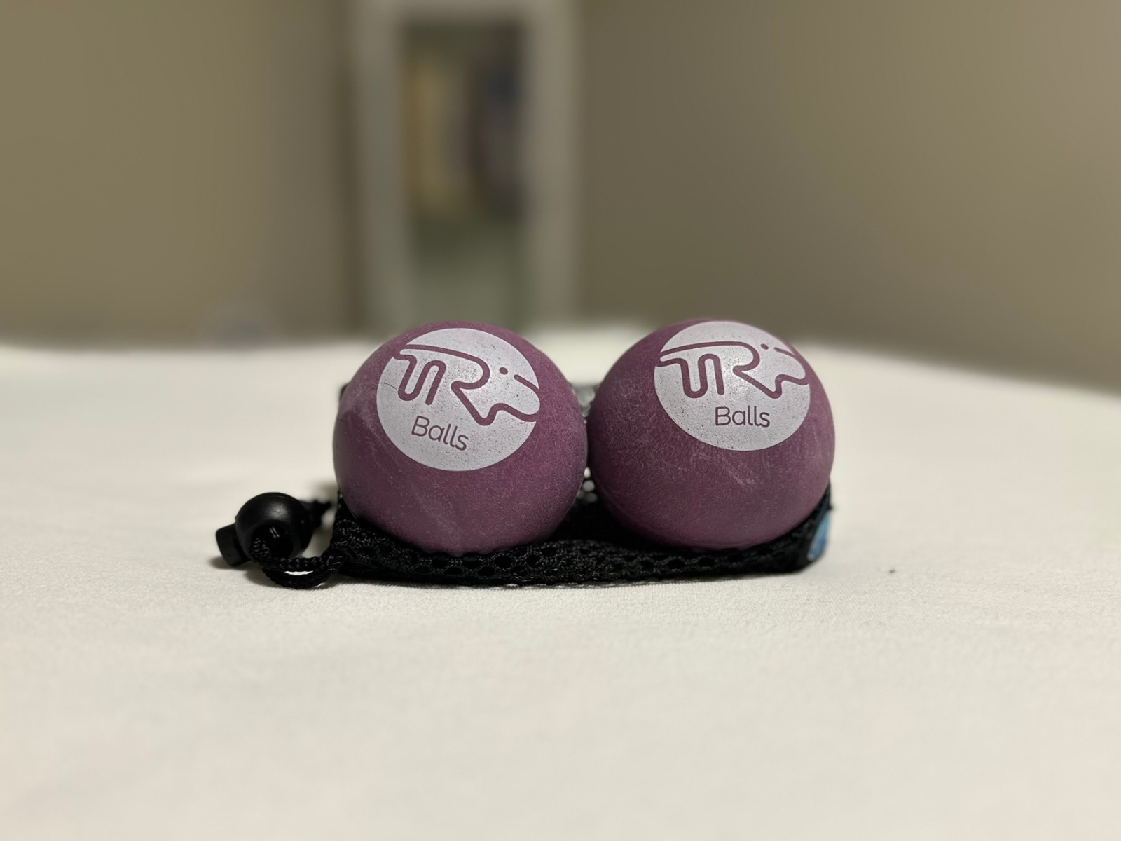 Kit complet de yoga-balles : grosse balle mauve, petite balle et sacs en filet