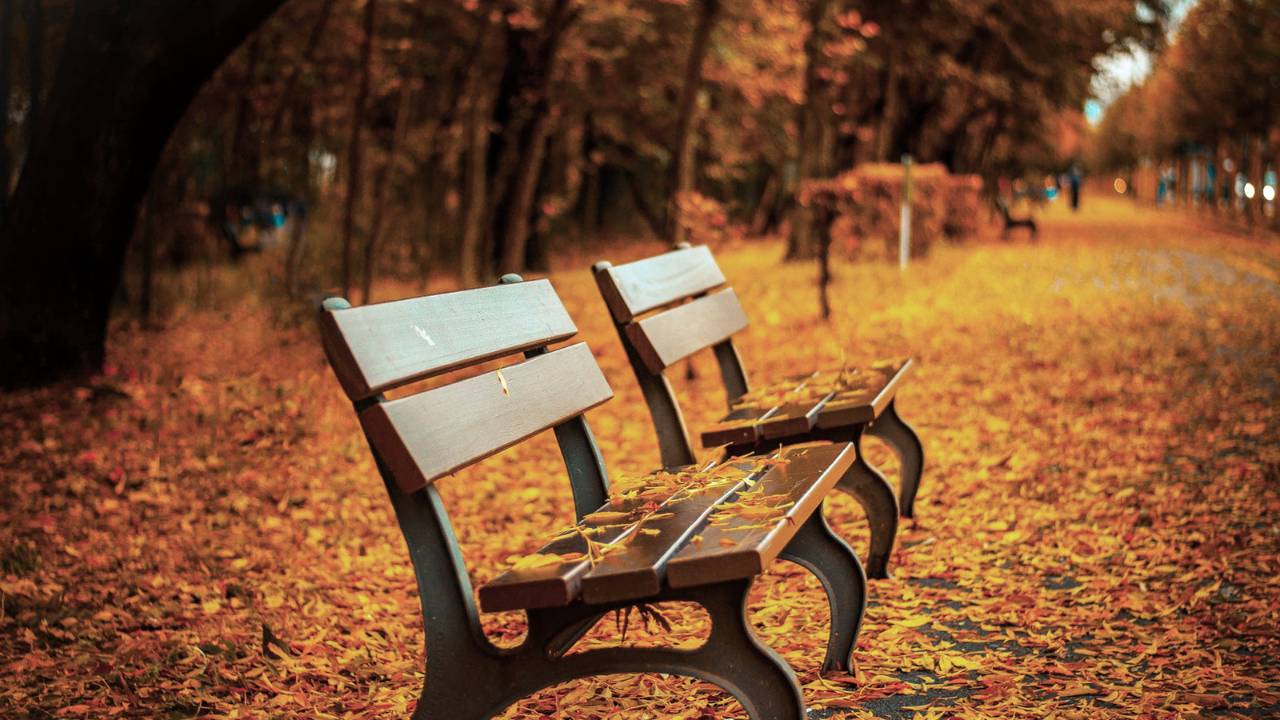 Comme les feuilles qui tombent, je t’invite à déposer ce qui est trop lourd et à t’offrir un moment de pause.