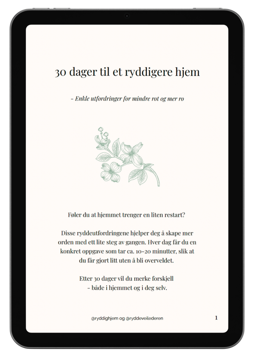 Utklipp av forsiden til heftet "30 dager til et ryddigere hjem" 