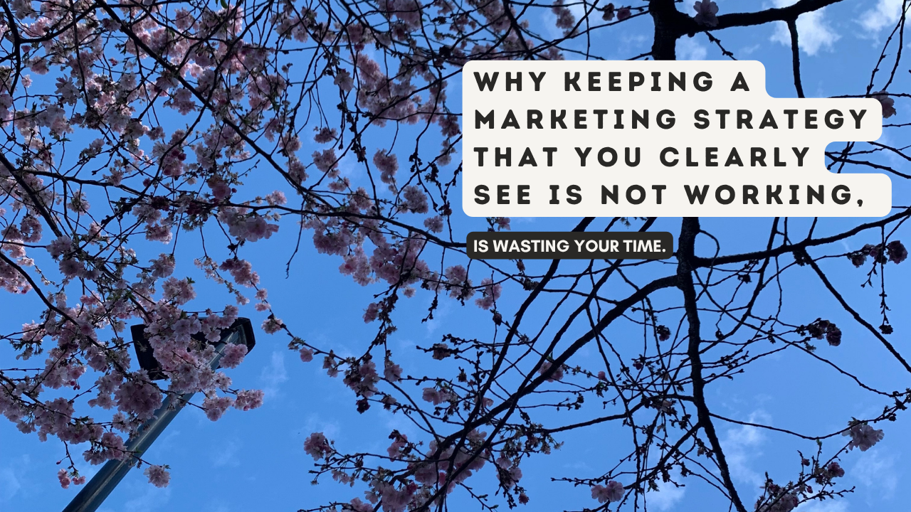 Keeping a Marketing Strategy that you clearly see is not working... Is wasting your time.