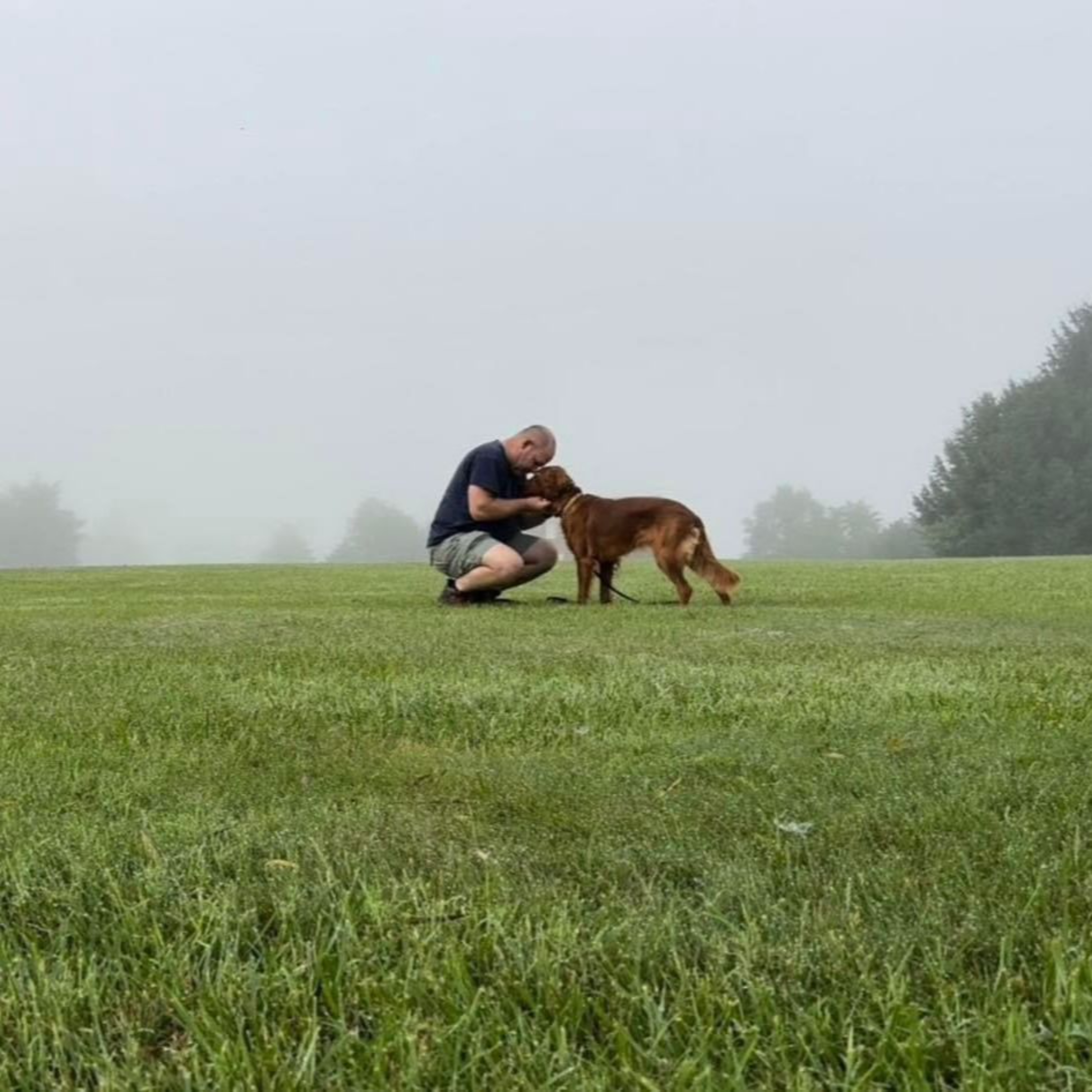 The "LIVING WITH DOGS" Podcast