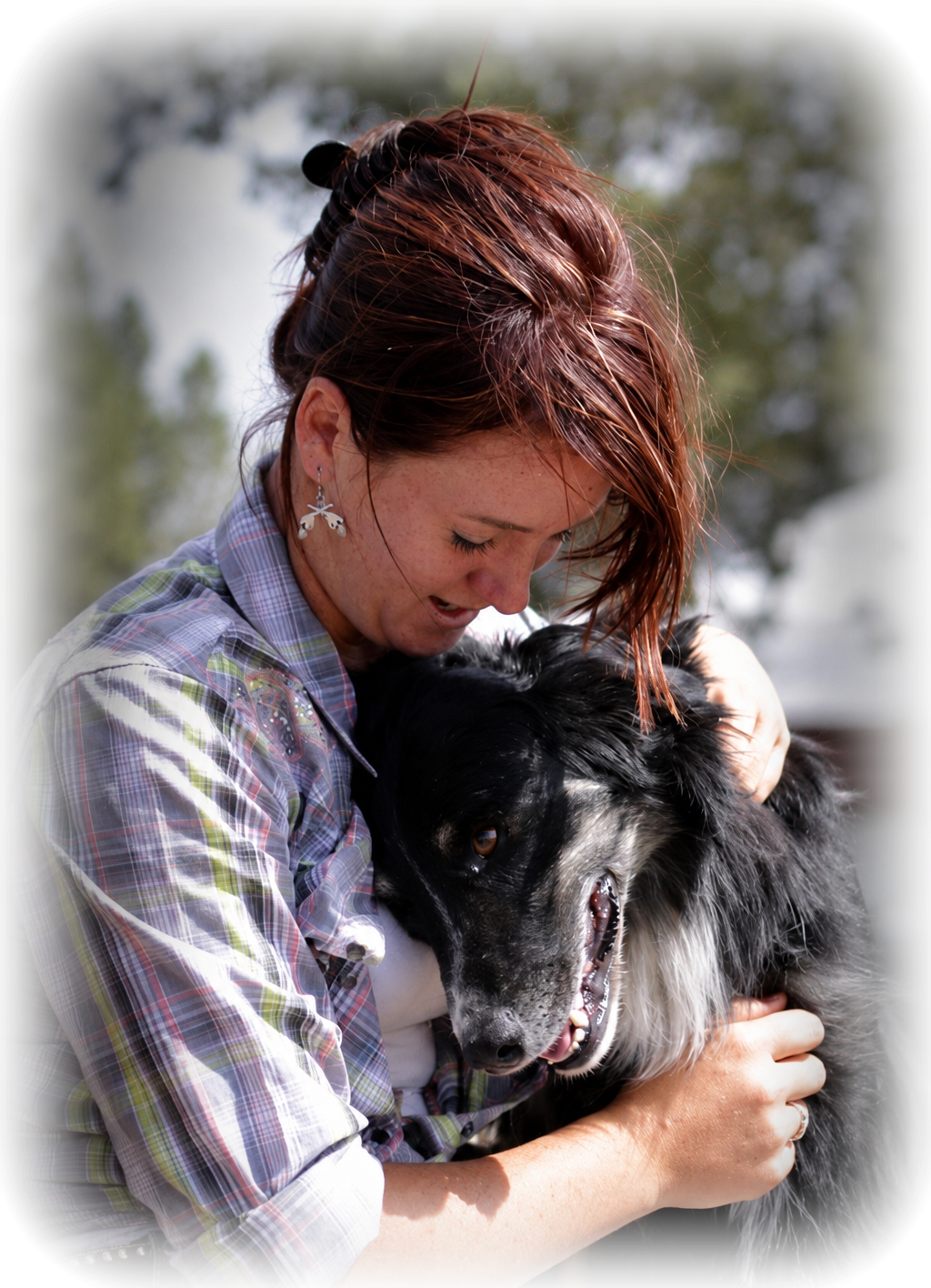 Handler working with stockdog