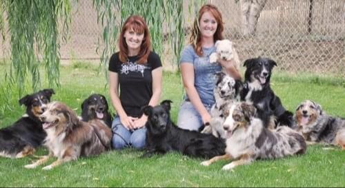 Dawna Sims and Megan Sims-Kennedy with their Australian Shepherds