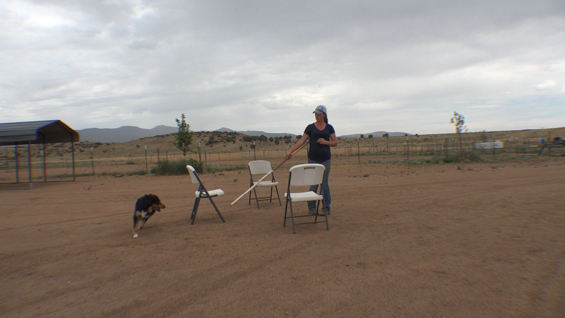Handler and dog working together