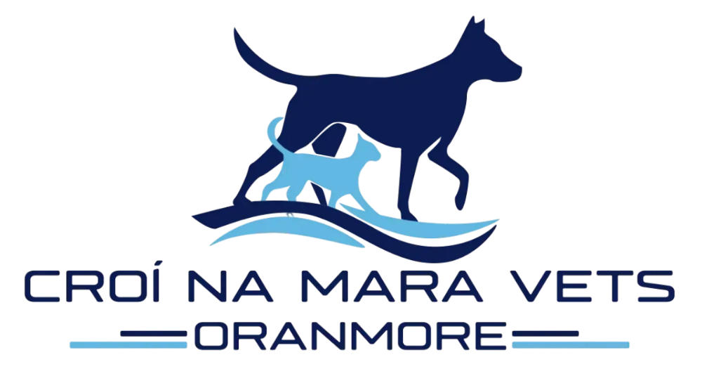 Header Logo