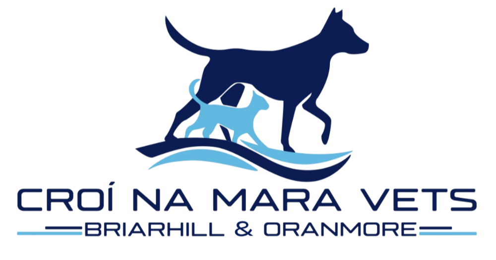Header Logo