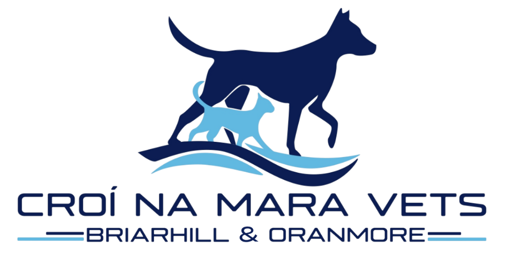 Header Logo