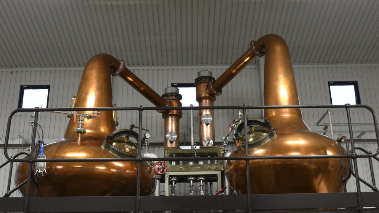 single malt nedir?