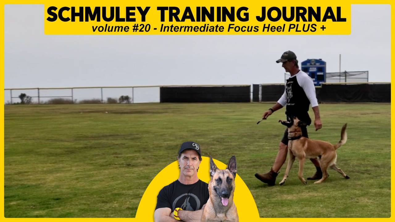 Schmuley Journal 20 - Intermediate Focus Heel - Plus